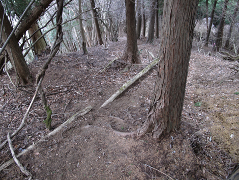 20160121hike (187)